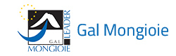 Gal Mongioie Leader
